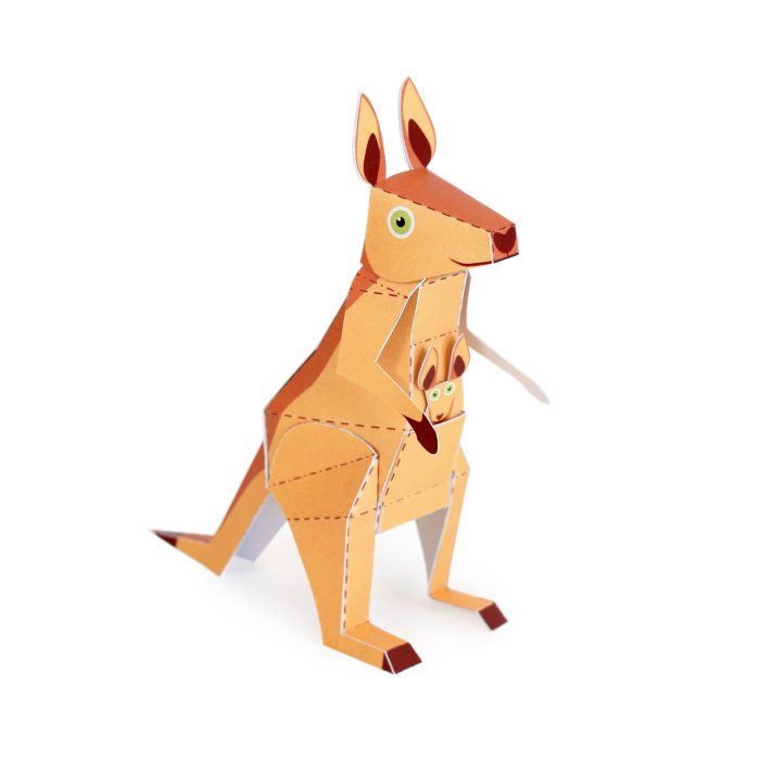 kangaroo Postcard