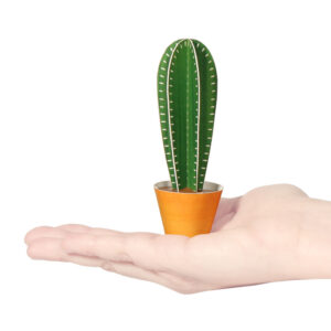 Cereus peruvianus Postcard