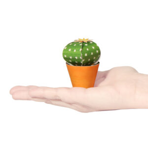 Echinocactus grusonii Postcard