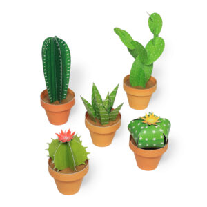 Cactus Mini Garden Craft Kit