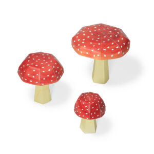 Amanita muscaria Mini Garden Craft Kit