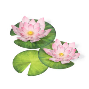 Lotus Mini Garden Craft Kit