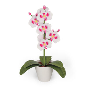Orchid Mini Garden Craft Kit