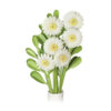 Daisy Mini Garden Craft Kit