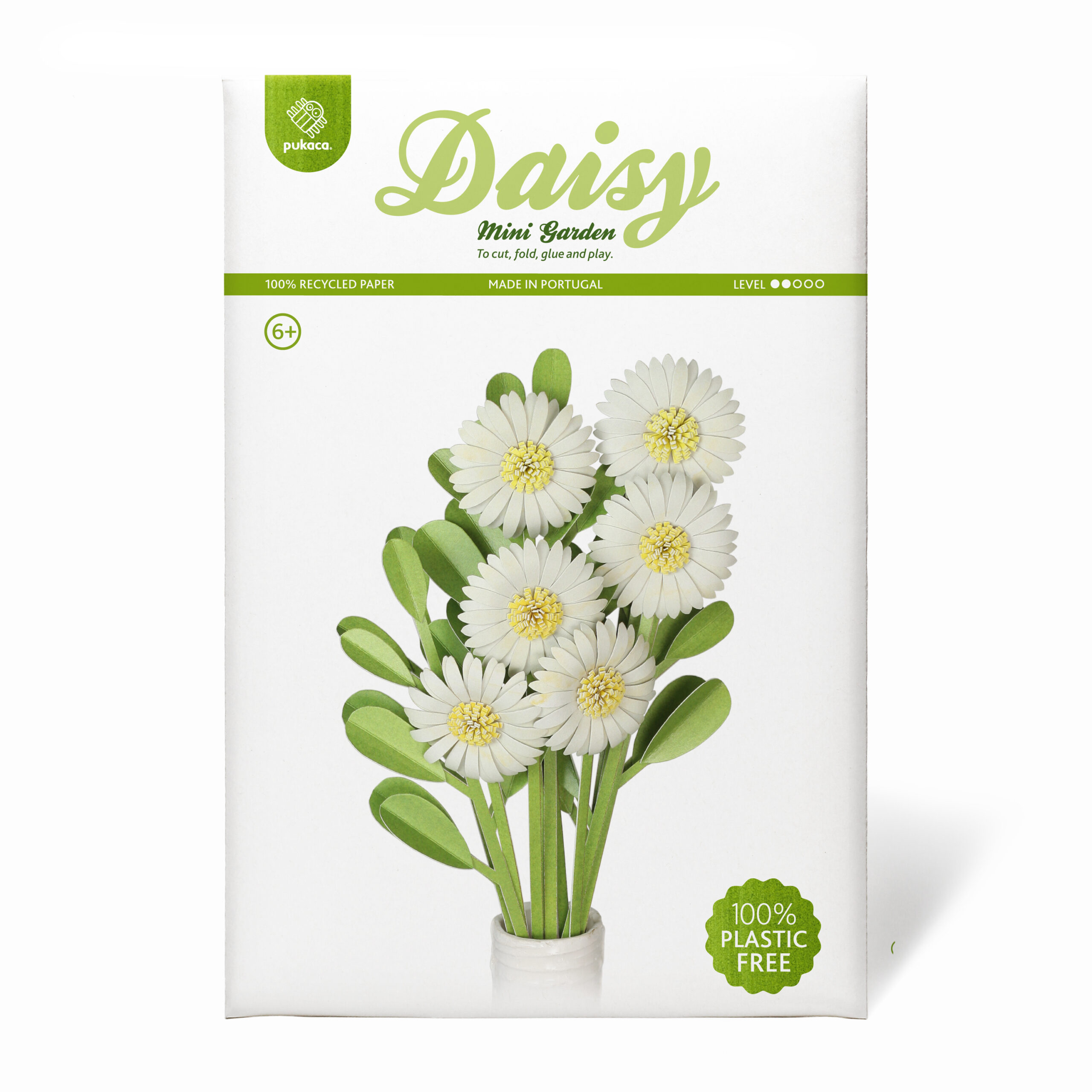 Daisy Mini Garden Craft Kit