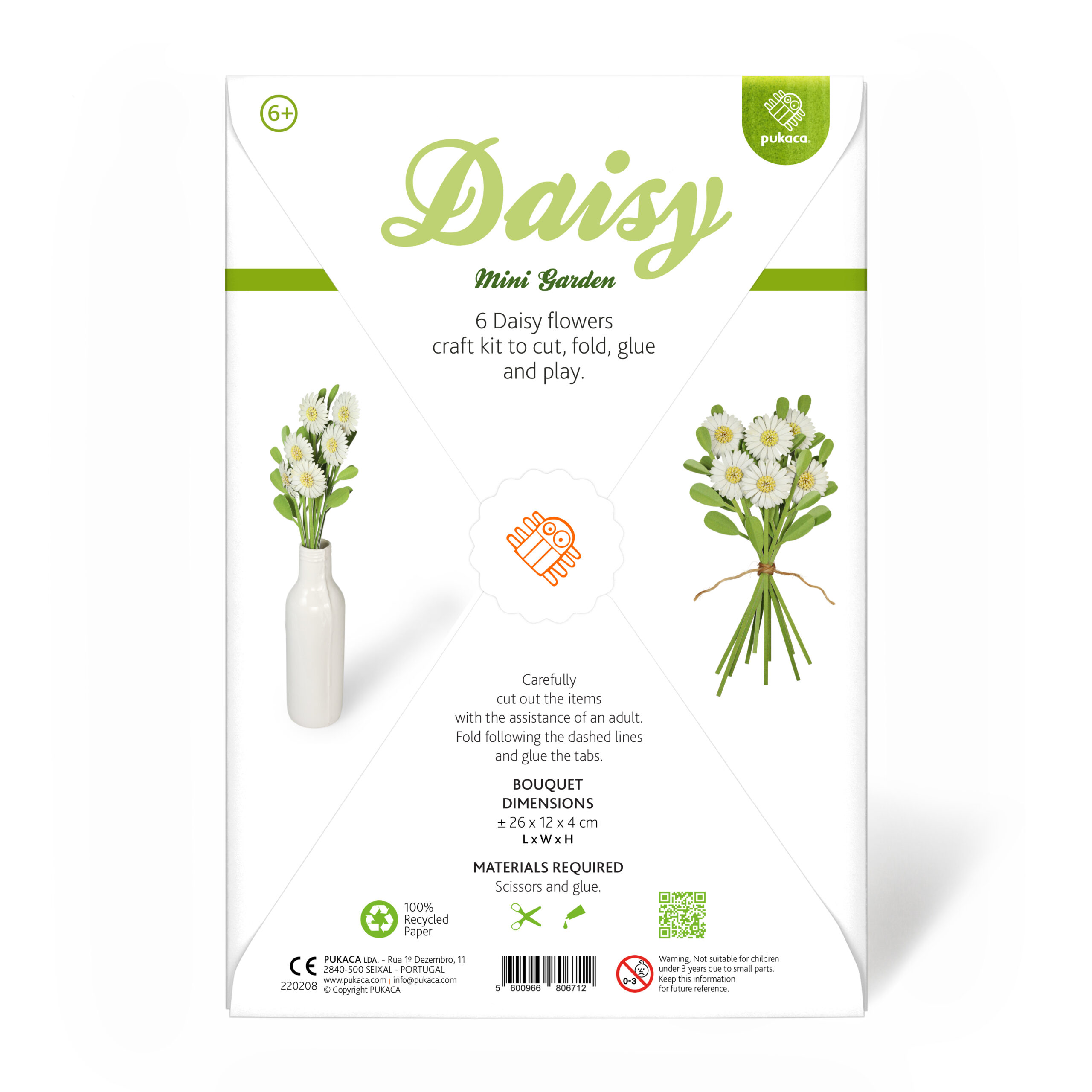 Daisy Mini Garden Craft Kit