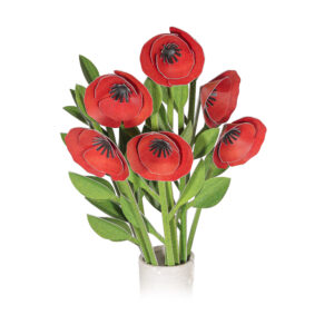 Poppy Mini Garden Craft Kit