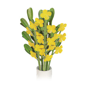 Citrona Yellow Mini Garden Craft Kit