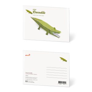 Crocodile Postcard