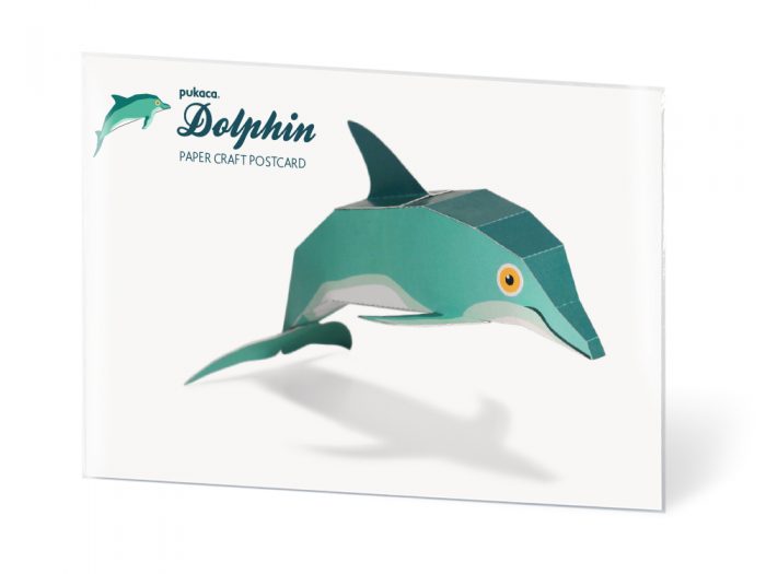 Dolphin Postcard
