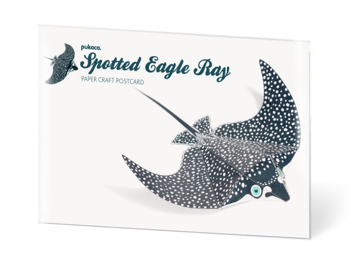 Spotted Eagle Ray Postcard