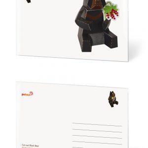 Black Bear Postcard